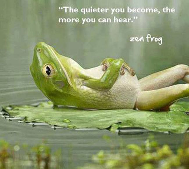 Mindfulness technique zen frog